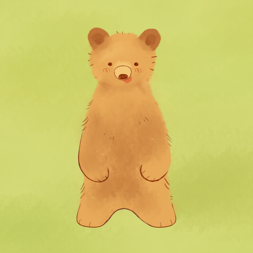 rosarrie:goofy looking bear