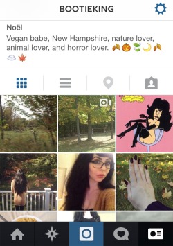 jusdechatte:  Follow my Instagram!