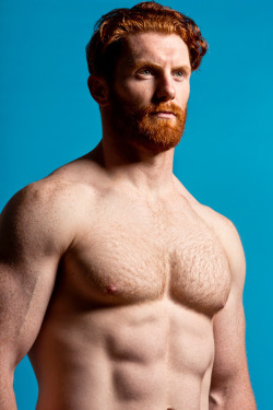 for-redheads:  RED HOT BEARDS! Photographic exhibition of gingers