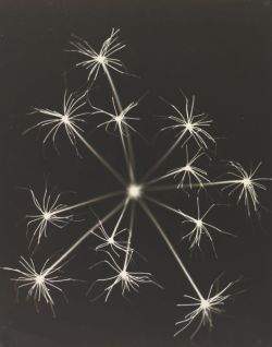 daimesonhosparabrincar:  Fireworks, Josef Breitenbach, late 1930s