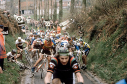 th1rdlegend:  Tour of Flanders 1978 – 1986 In the years immediately