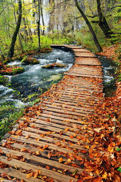 jamas-rendirse:  Plitvice, por Sorin Rechitan.          