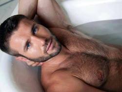 hot4hairy:  Ben Cohen H O T 4 H A I R Y Tumblr | Tumblr Ask