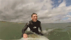 cuteness–overload:  Seal climbs onto a Surfer’s board