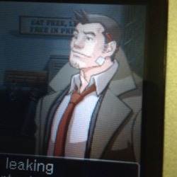 meximeximan:  I took this picture of Gumshoe because he’s my