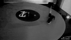 butane-skyline:  Frnkiero and the Cellabration 