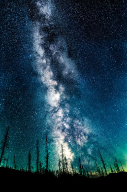 thebeardedguitarist:  Just imagine looking up at the sky, seeing
