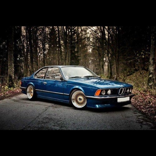 bmwclubrussia:  #bmw #e24 #6series #bimmer #bimmerfan #bmwclassic #bmwclubrussia #bmwclubspb #bmwclub #bmwru