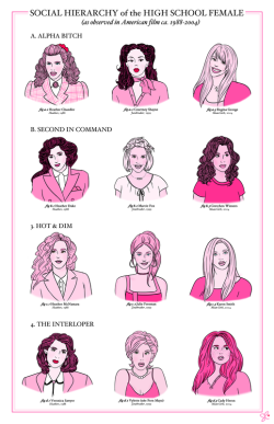 whisperludesssss:  Social Hierarchy of the High School Female.