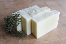 universal-wanderer:  Frosted Fir soap from Wanderers Soap! This