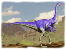 a-dinosaur-a-day:  Ornithomimus(OR-nith-oh-MIME-us) where: Swamps