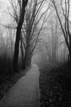 Eine unbekannte Reise.