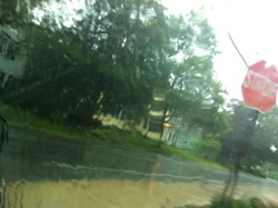 fauta:  rainy day