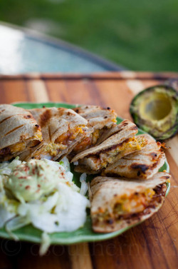 in-my-mouth:  Spicy Grilled Shrimp Quesadillas with Smoky Avocado