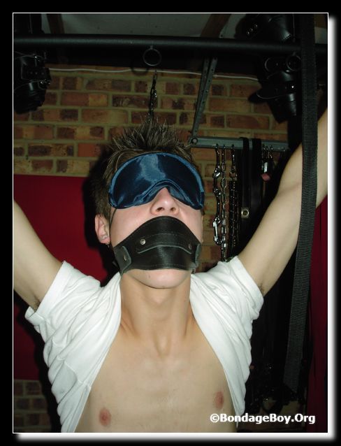 GALLERY: What would you do with a cute bondage twink? 