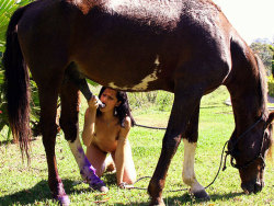 sexezoophilie:  Vidéo zoophilie avec un cheval comblé ! Regardez