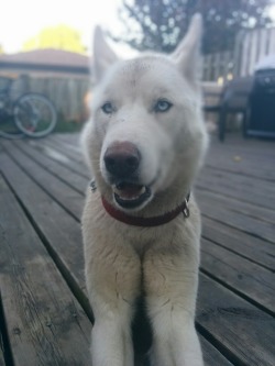 mymompickedthisurl:  big dummy 