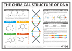 compoundchem:  Today’s post looks at the chemical structure