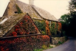 pagewoman:  Brimpsfield, Gloucestershire, England   The village