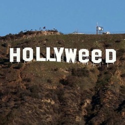 weedstatistics:  2017. Legendary. Weedstatistics.com