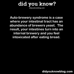 did-you-kno:  Auto-brewery syndrome is a case where your intestinal