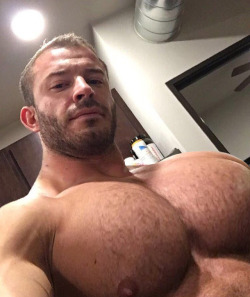 rippedmuscularjock: The bull of the local gym.