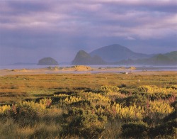 retrospectia:  Beautiful America’s Oregon Coast, 1999 