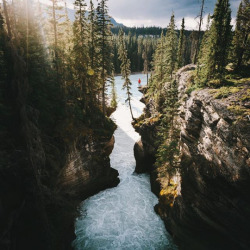 wonderous-world:  In need of a little inspiration to go outside