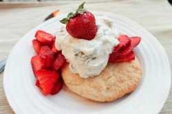 foodffs:  Strawberry Shortcake with Honey Basil Cream Really