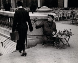 ANDRÉ KERTÉSZ Muguet Seller, Champs-Élysées, May 1st, 1928