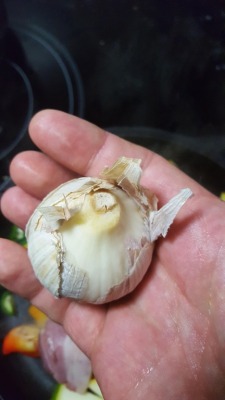 diary-of-a-chinese-kid:  This garlic bulb only has one clove