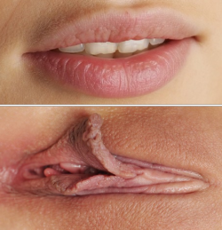 xpussyslut:  Follow me http://xpussyslut.tumblr.com