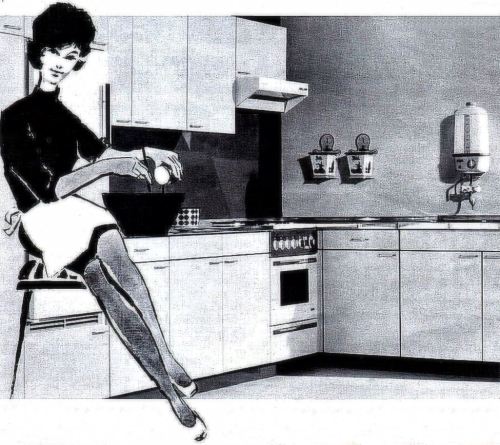 danismm:  Bähr + Priester kitchen, 1964 