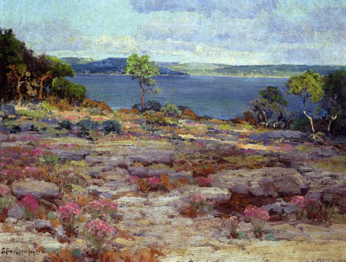 julian-onderdonk:Mountain Pinks in Bloom, Medina Lake, Southwest