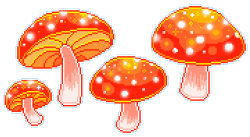 pretty-things:i will never not be impressed by cool looking mushrooms 