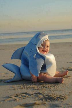 cute-overload:  I heard we were doing cute shark babieshttp://cute-overload.tumblr.com