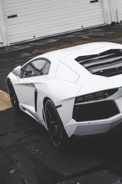 envyavenue:  Lamborghini Aventador | Photographer