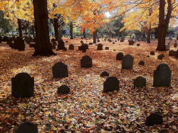 Fallen Leaves and Wool Sweaters