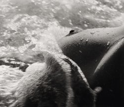 oldalbum:  Lucien Clergue - Nu de la mer, 1971 