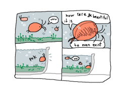 mossworm:clam shrimp comic