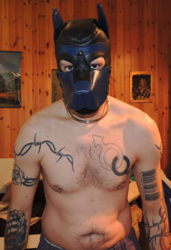 The blue is awesome on the Mr S hood.I notice the snout is a