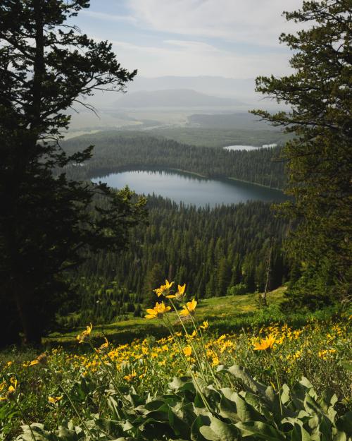 amazinglybeautifulphotography:  Grand Teton National Park [4912