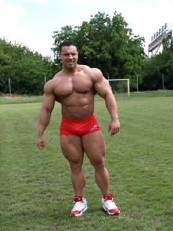 This is one extraordinary muscular man.  Pecs, arms, and a very