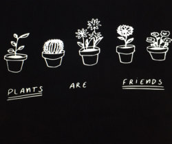 lovelyandfashionblog:   Plants are friends  