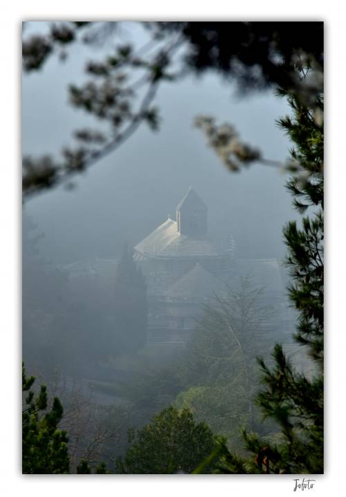 reflet-de-la-lune:   L'abbaye de Sénanque dans la brume