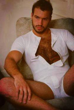  The two hairy men blogs: http://sambrcln.tumblr.com/archive