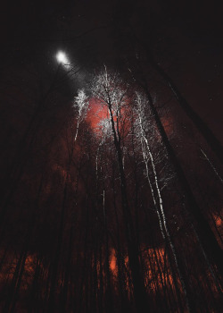 coiour-my-world:  “The Haunted Forest” || juusohd