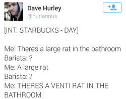 steakpanties:  A VENTI RAT 