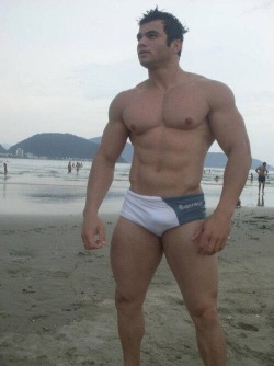 Speedo & Swimwear