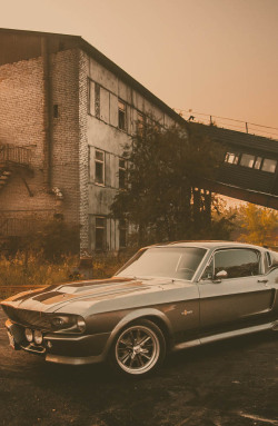 possit-de-tenebris:  fineapple4u:  h-o-t-cars:    1967 Ford Mustang